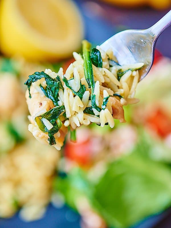Closeup of forkful of orzo pasta dish with blurred background 