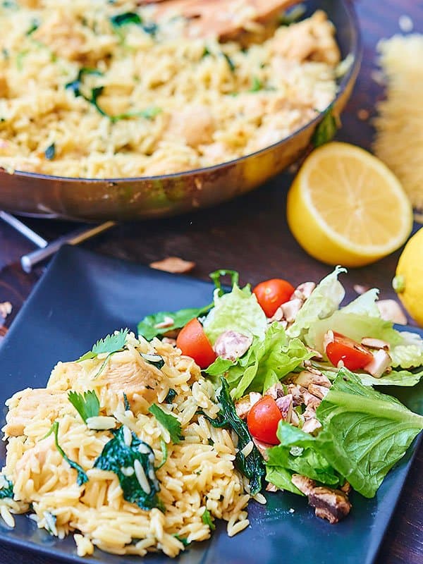 Lemon Garlic Chicken and Orzo Pasta  Easy Dinner