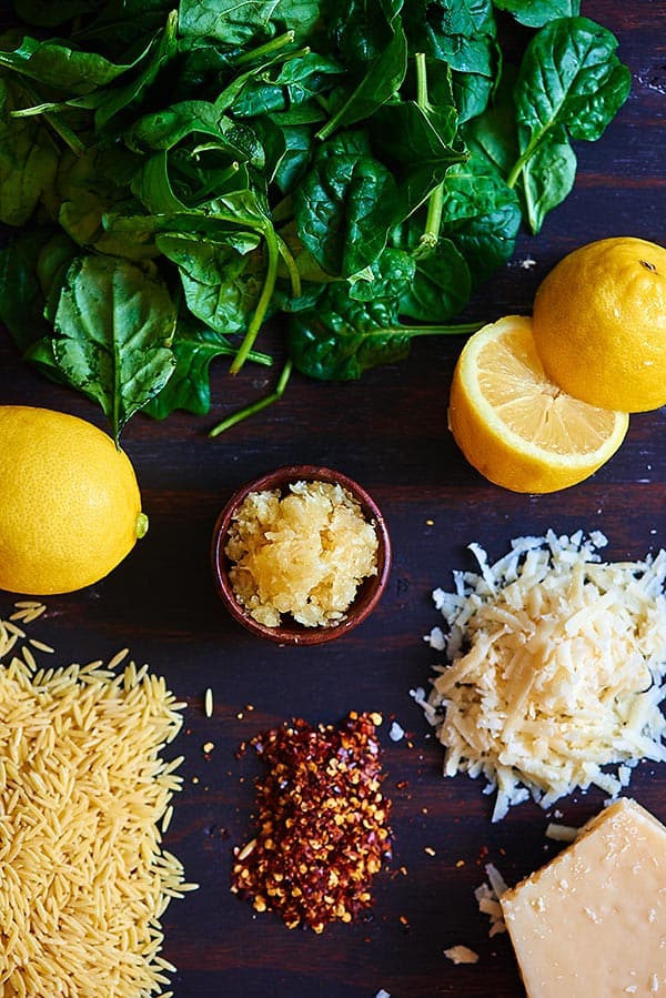 Lemon Garlic Chicken and Orzo Pasta Easy Dinner