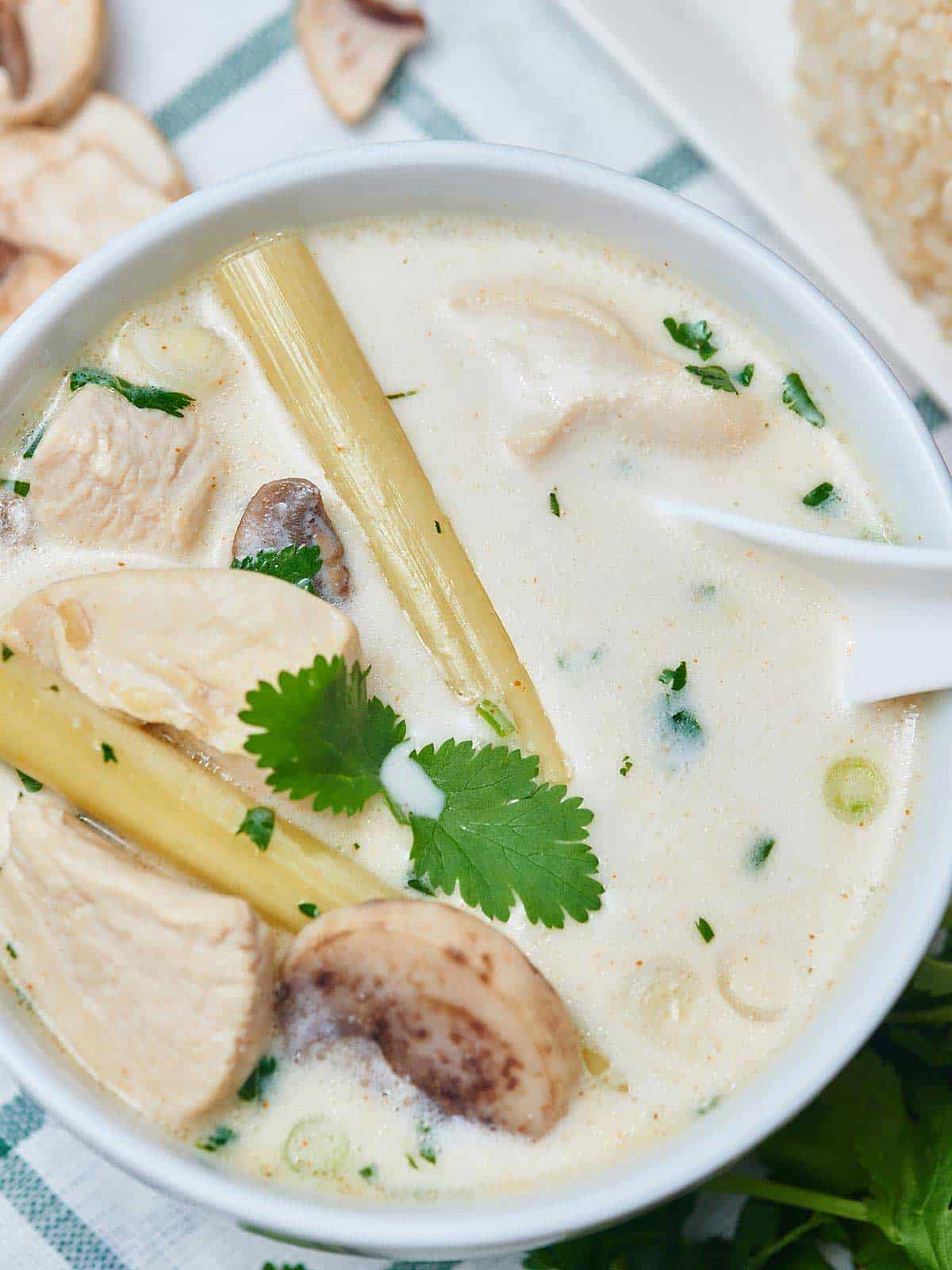Tom Kha Gai Soup (Coconut Chicken Soup) - Show Me the Yummy