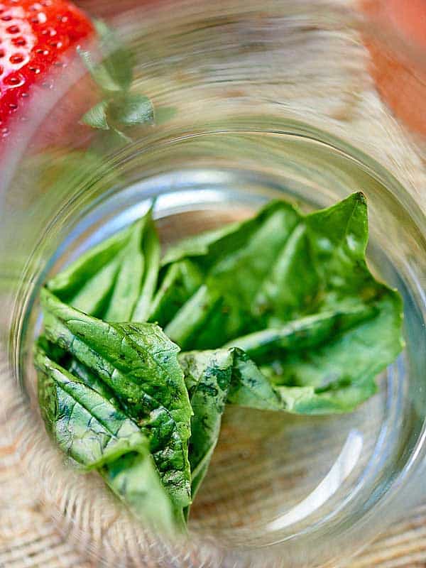 Basil leaf closeup