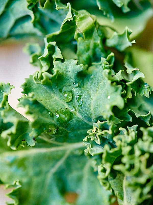 closeup of kale