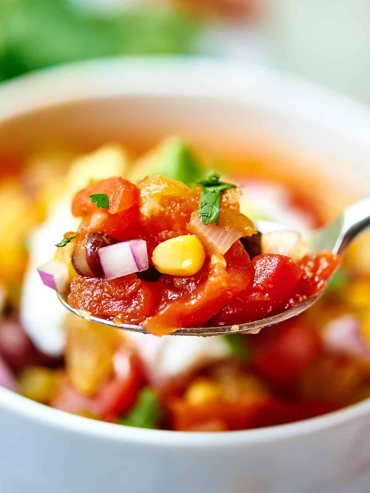 Spoonful of mexican vegetable soup