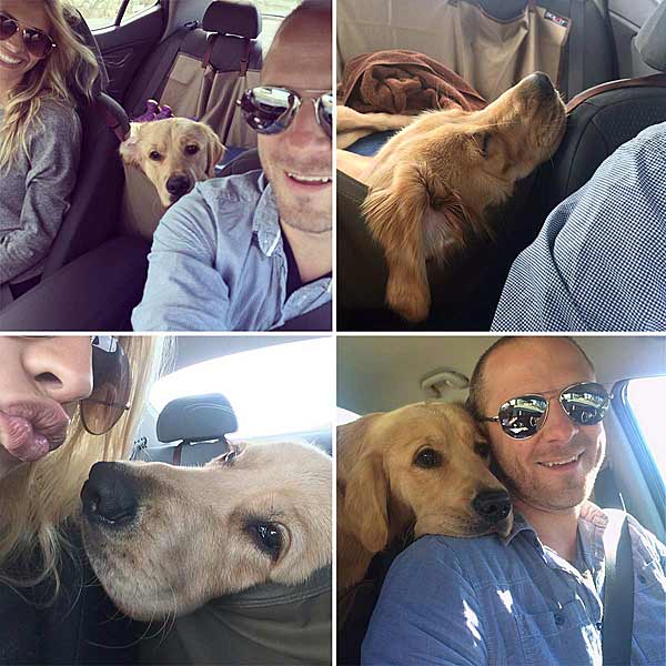 four pictures of man and woman in car with dog