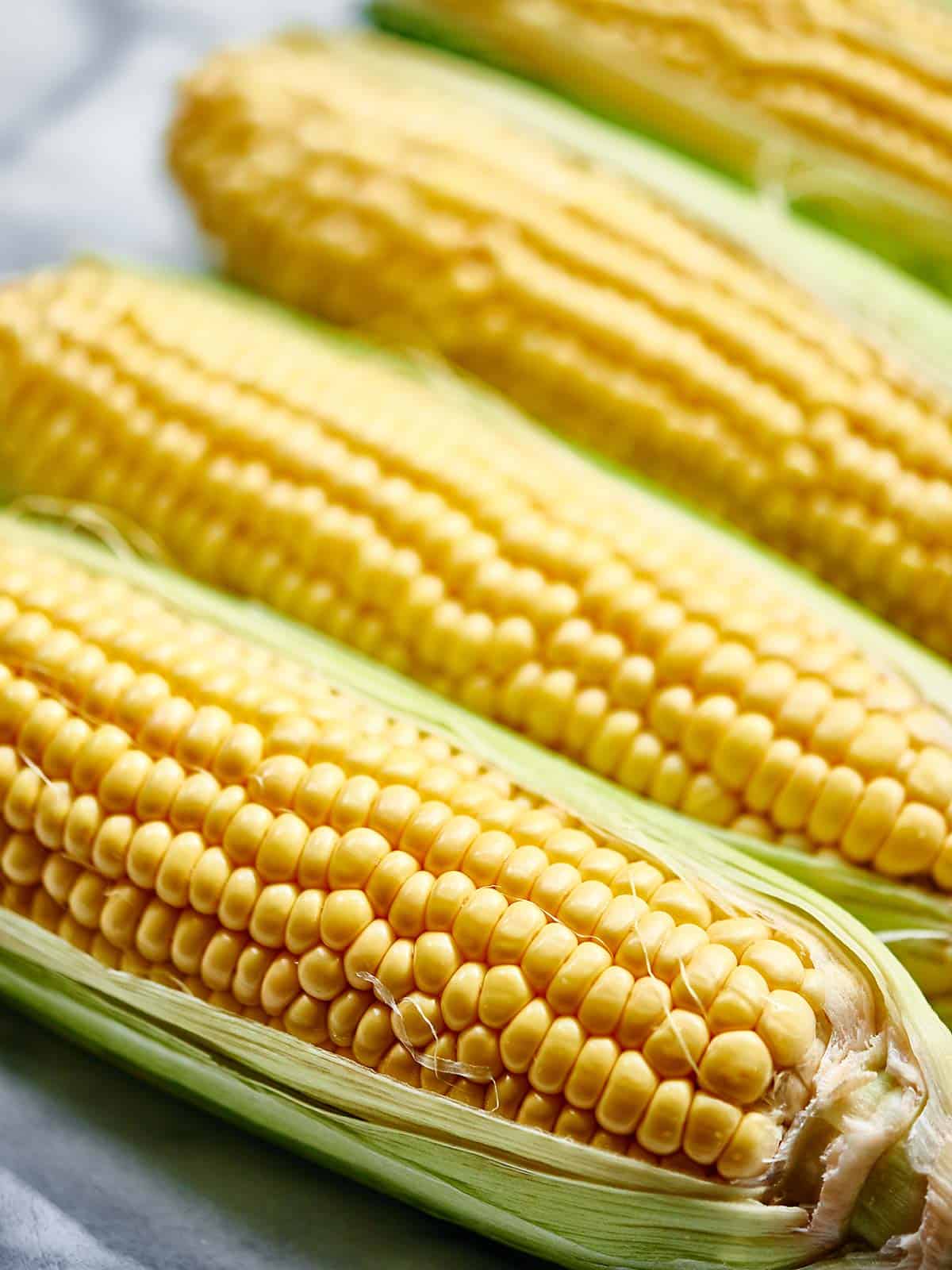 cobs of fresh corn