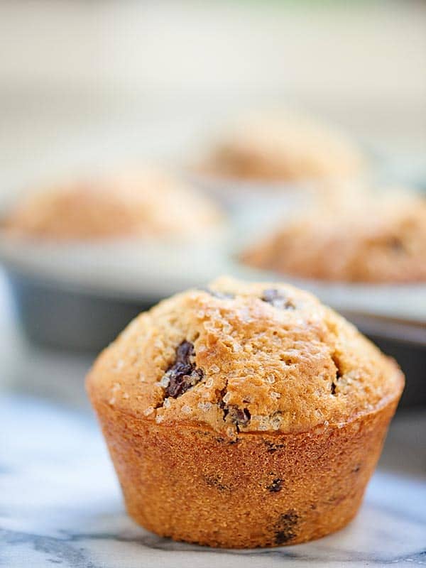 closeup of chocolate chip muffin