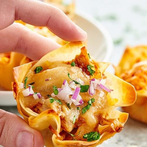 Cheese Wontons with Honey Mustard Dipping Sauce - Fried