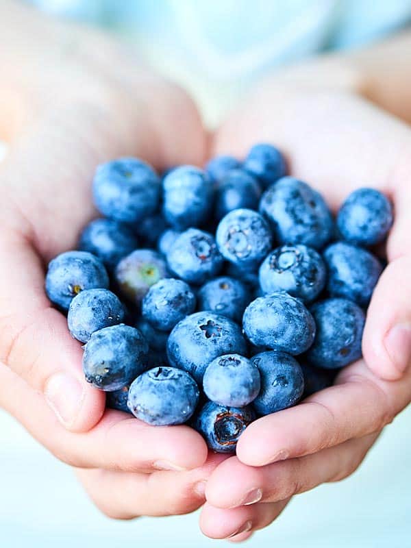 Blueberries held in two hands