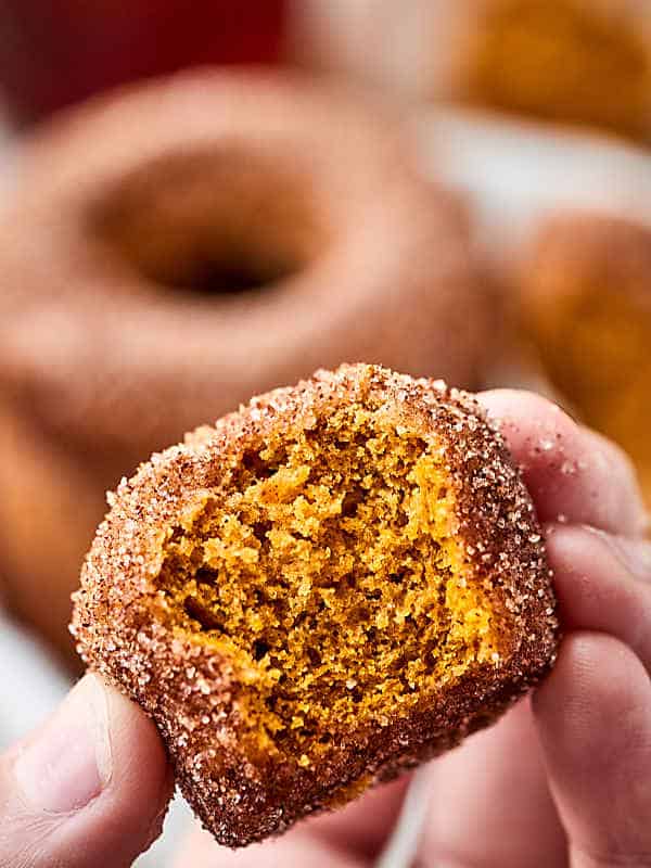 mini muffin pumpkin donut held