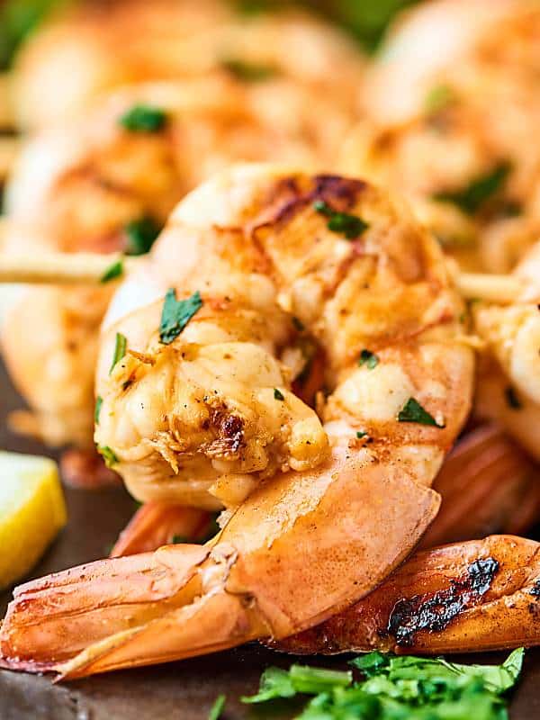close up of one grilled shrimp