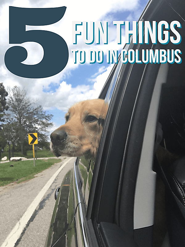 5 Fun Things to Do in Columbus. Everything from amazing brunch spots, trendy food trucks, classic German Village, beer-cades, and gorgeous parks! showmetheyummy.com