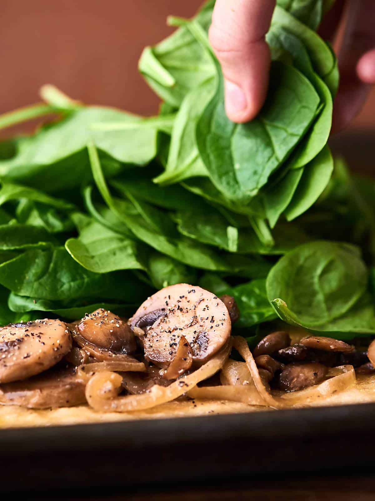 Caramelized Onion and Mushroom Pizza Recipe - Easy Vegetarian Recipe