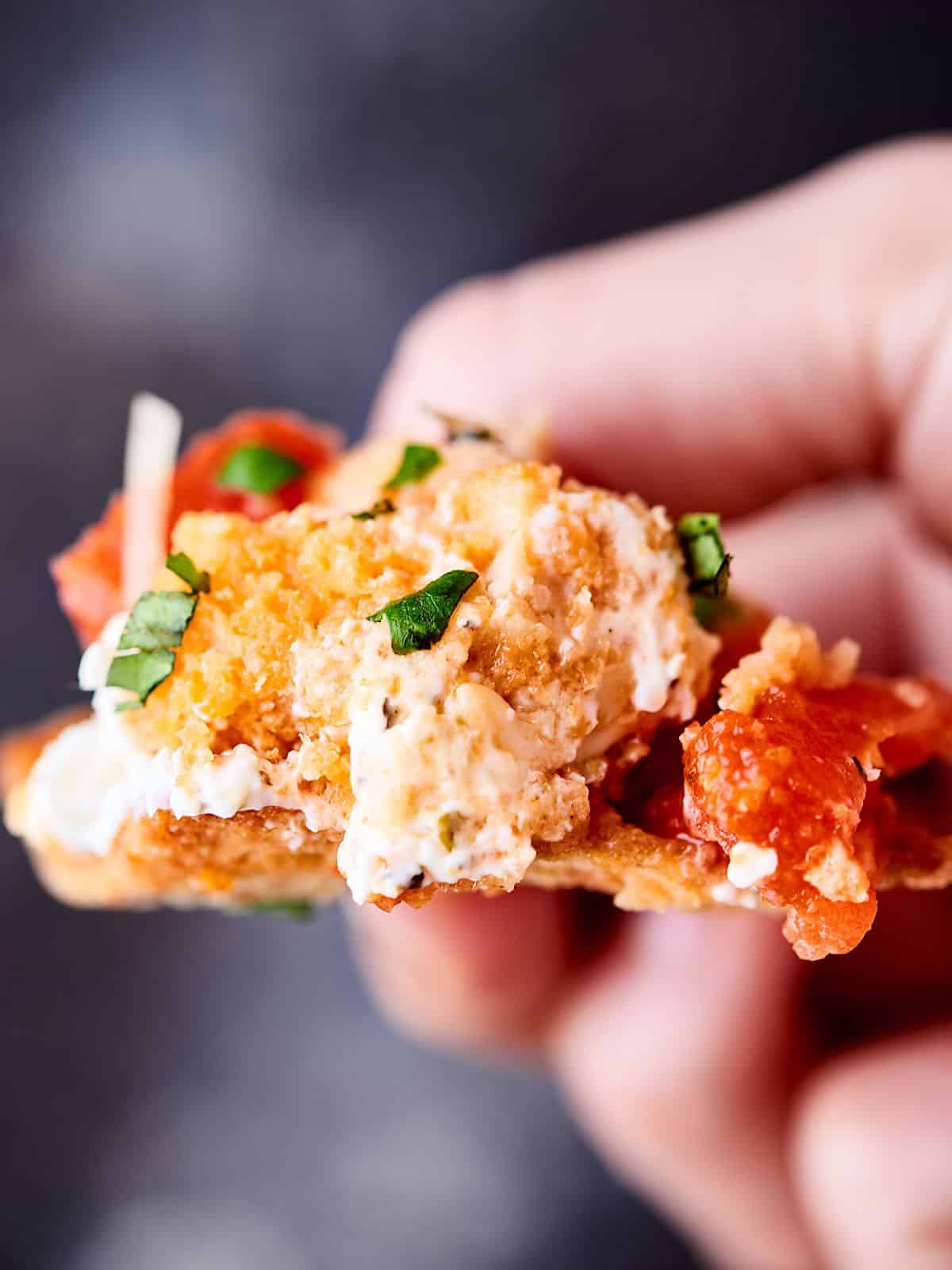 Chicken Parmesan Dip Recipe