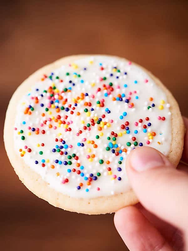 Round sugar cookie with frosting and sprinkles held