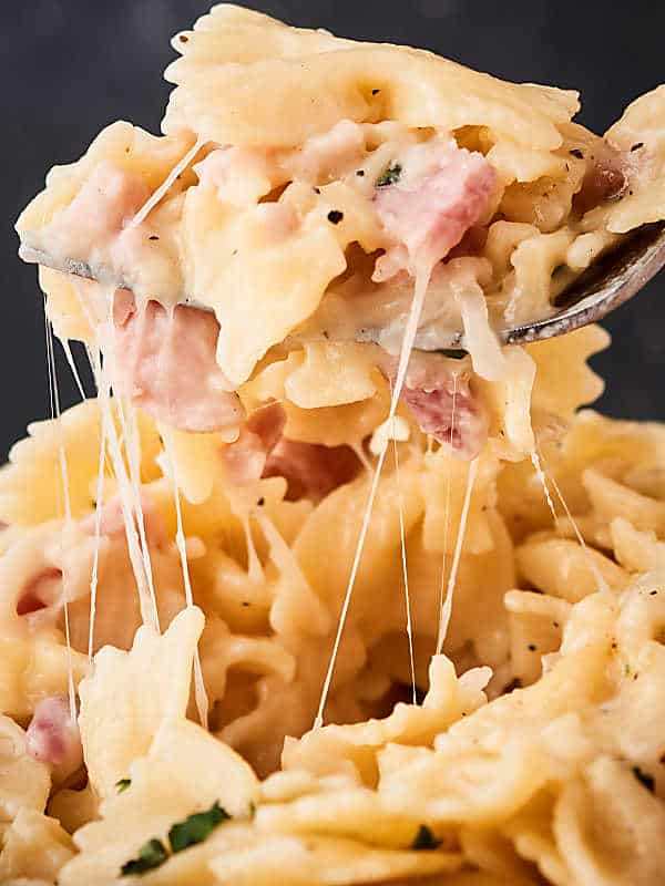 closeup pasta cheese pull with fork