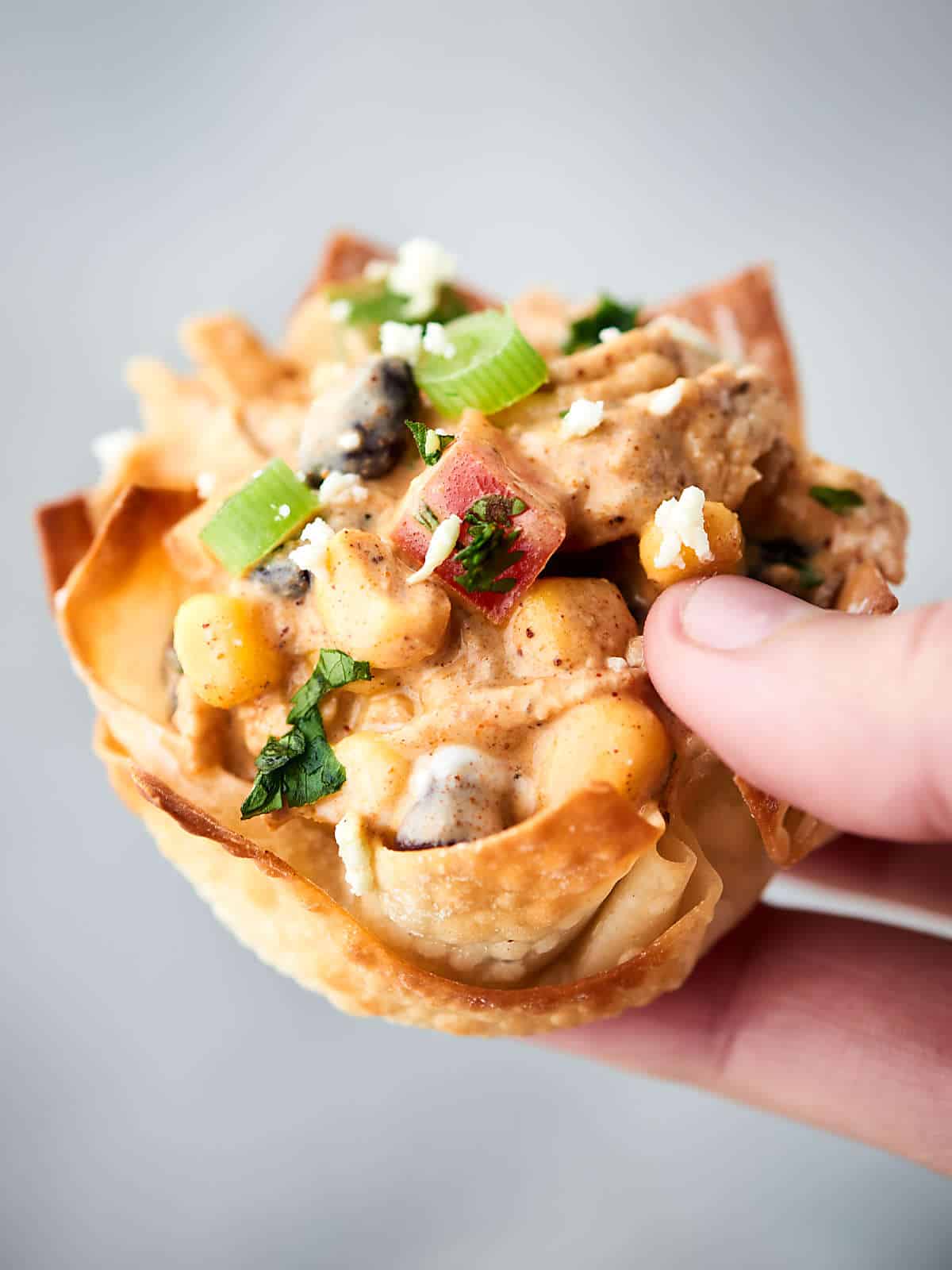 Southwestern Chicken Salad Cups Recipe w/ Baked Wonton Cups