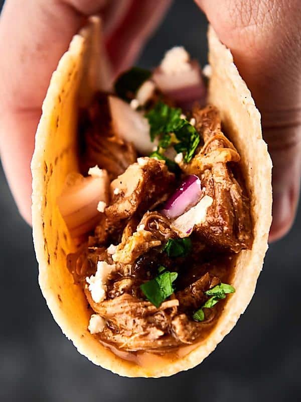 instant pot carnitas taco held