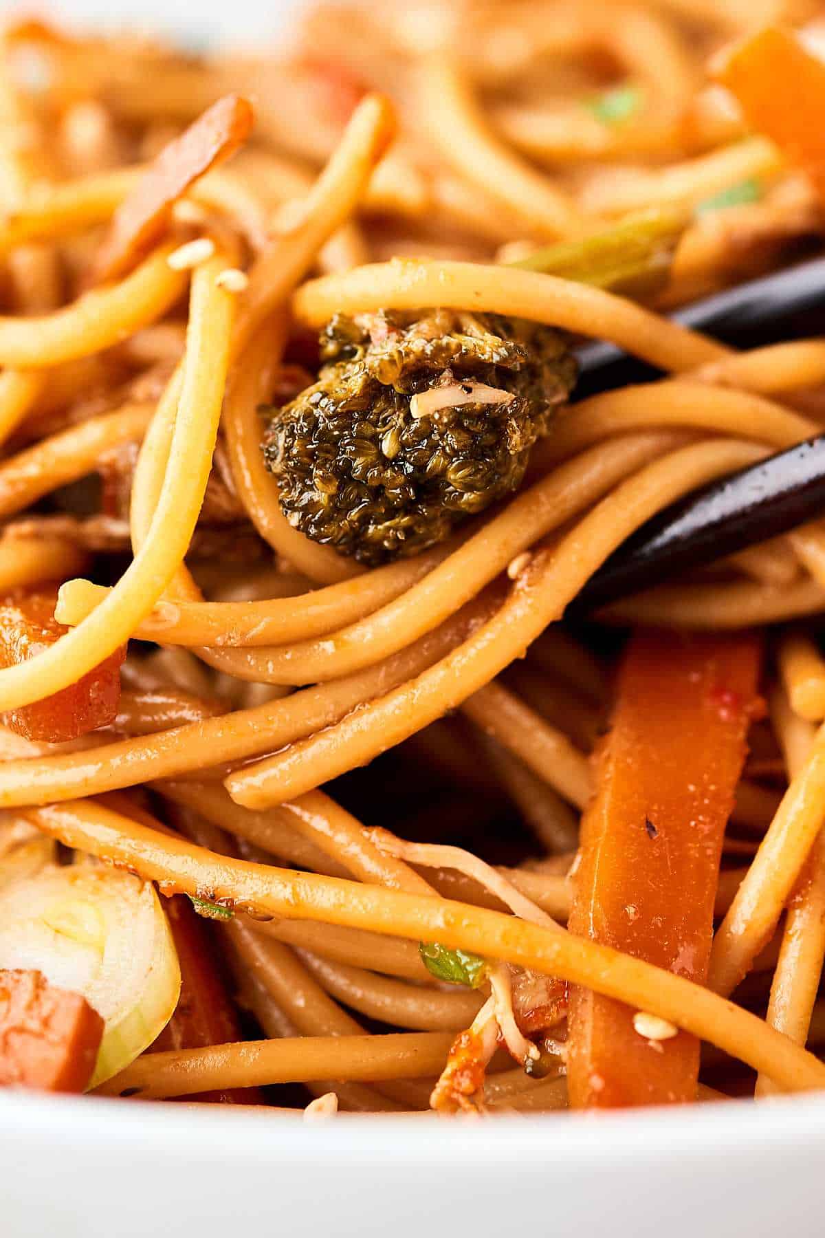 Slow Cooker Lo Mein Recipe Healthy Dinner w/ Chicken & Vegetables