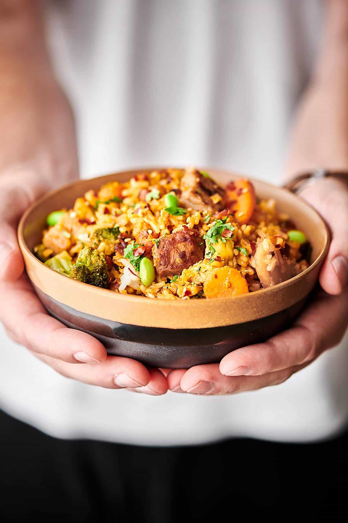 Pork Fried Rice Recipe OnePot, 30Minute Dinner!