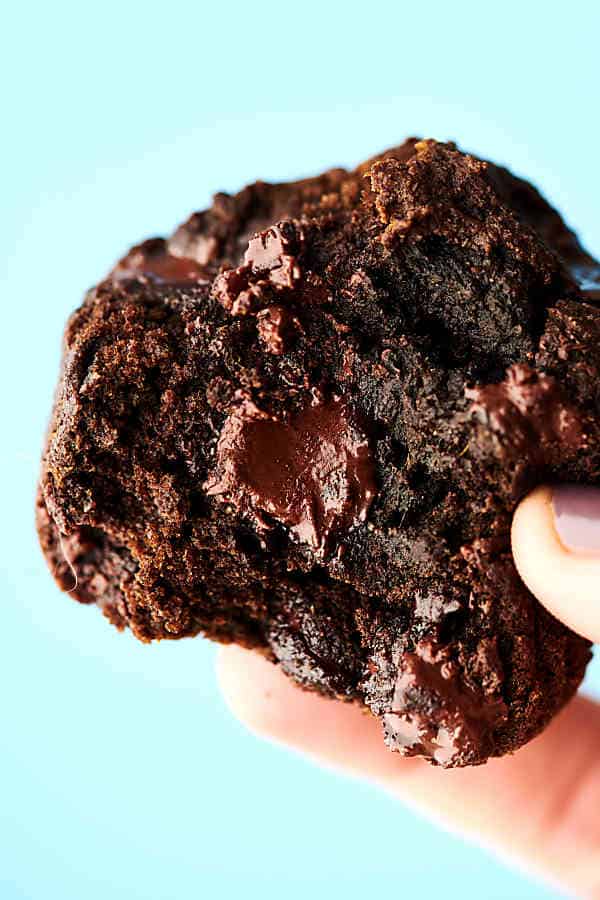 vegan double chocolate pumpkin muffin held blue background