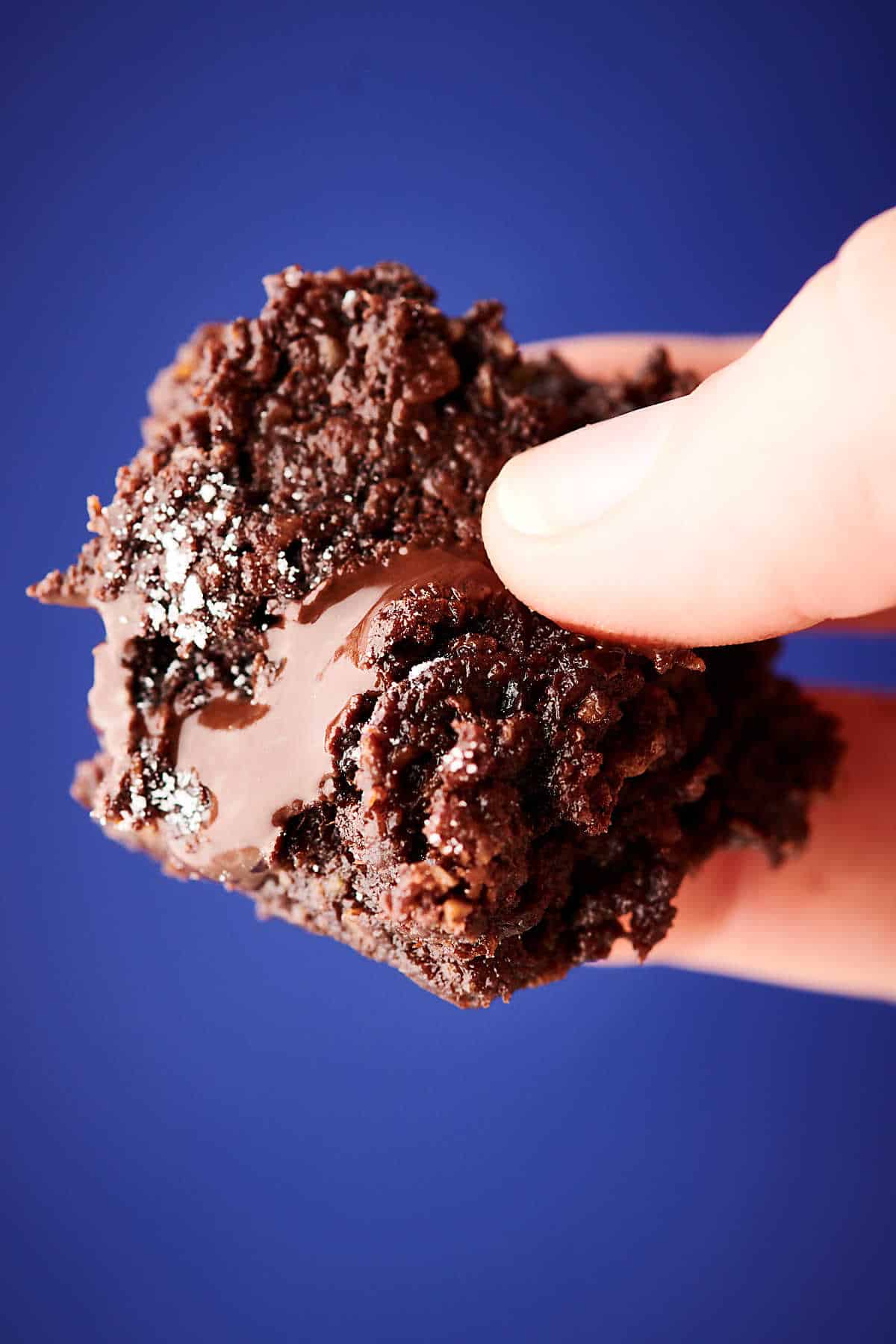 Fudgy Vegan Banana Brownies Recipe Gluten Free, Can Eat Batter Raw!