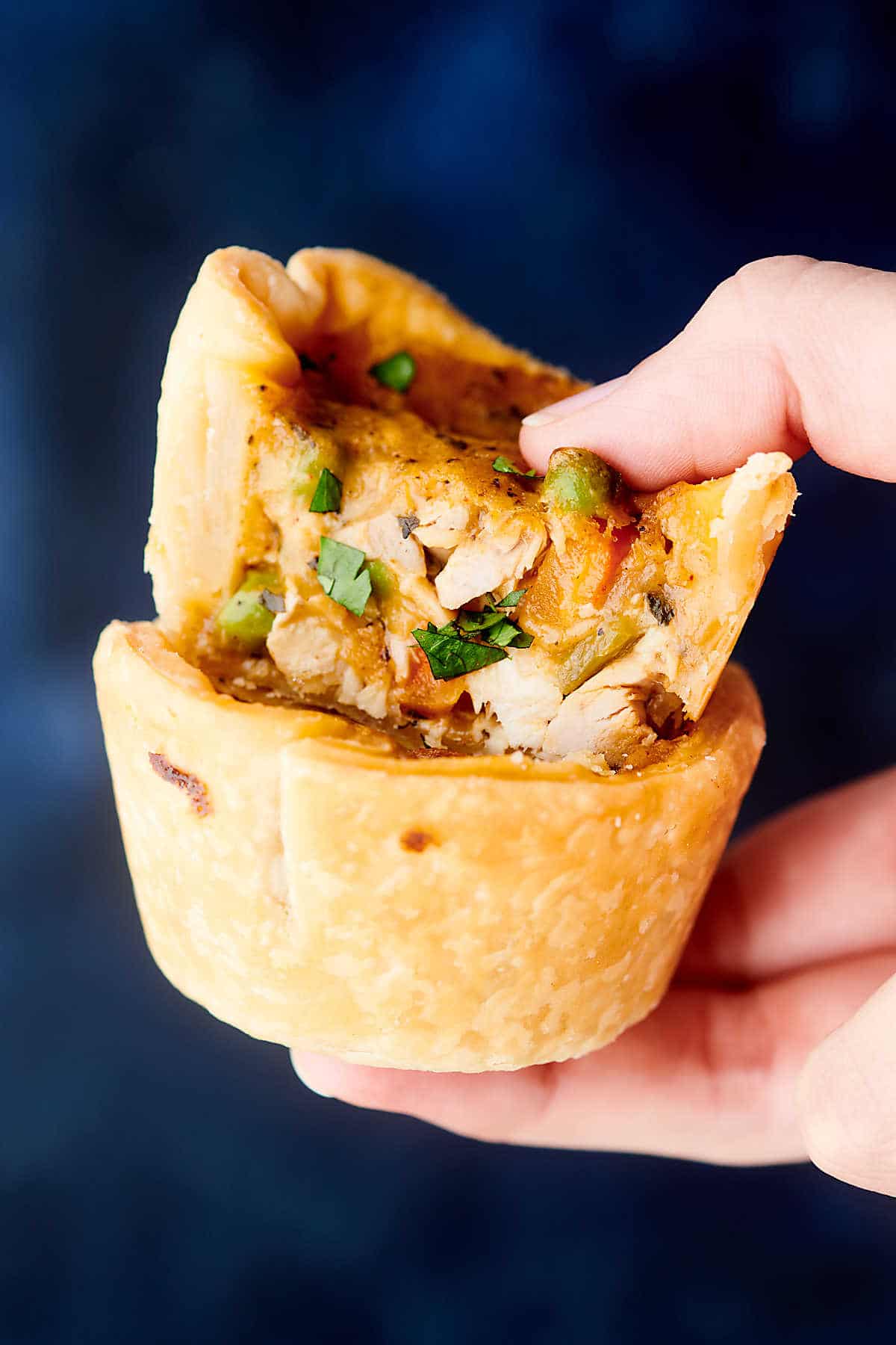Mini Chicken Pot Pies Made in a Muffin Tin