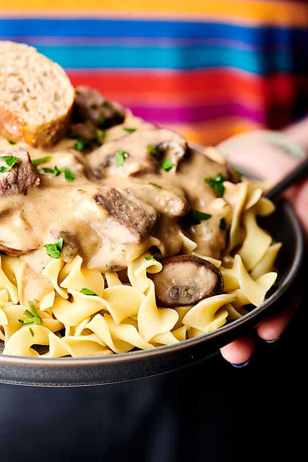 plate of beef stroganoff held