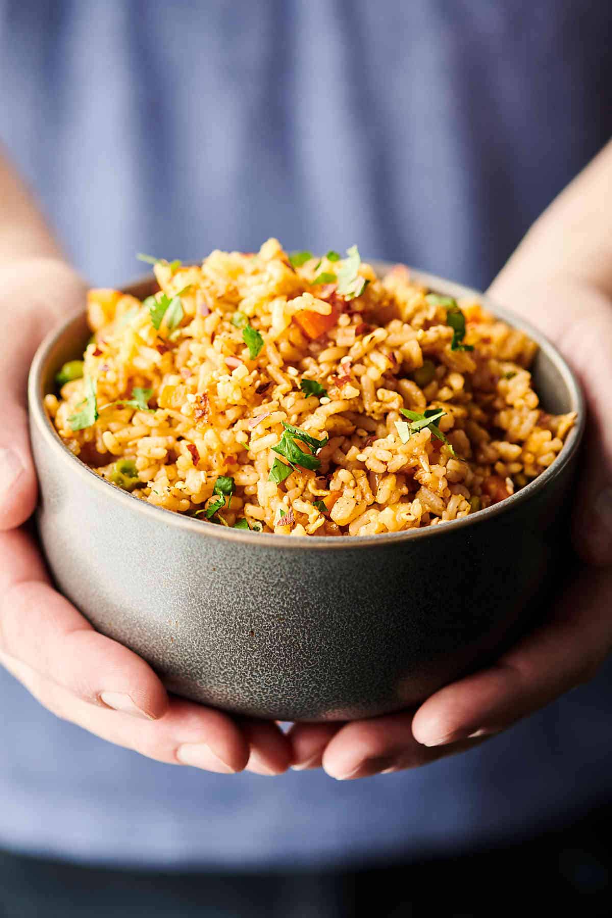 Fried Rice Recipe - Easy Vegetarian Dinner - Ready in Under 30 Minutes!
