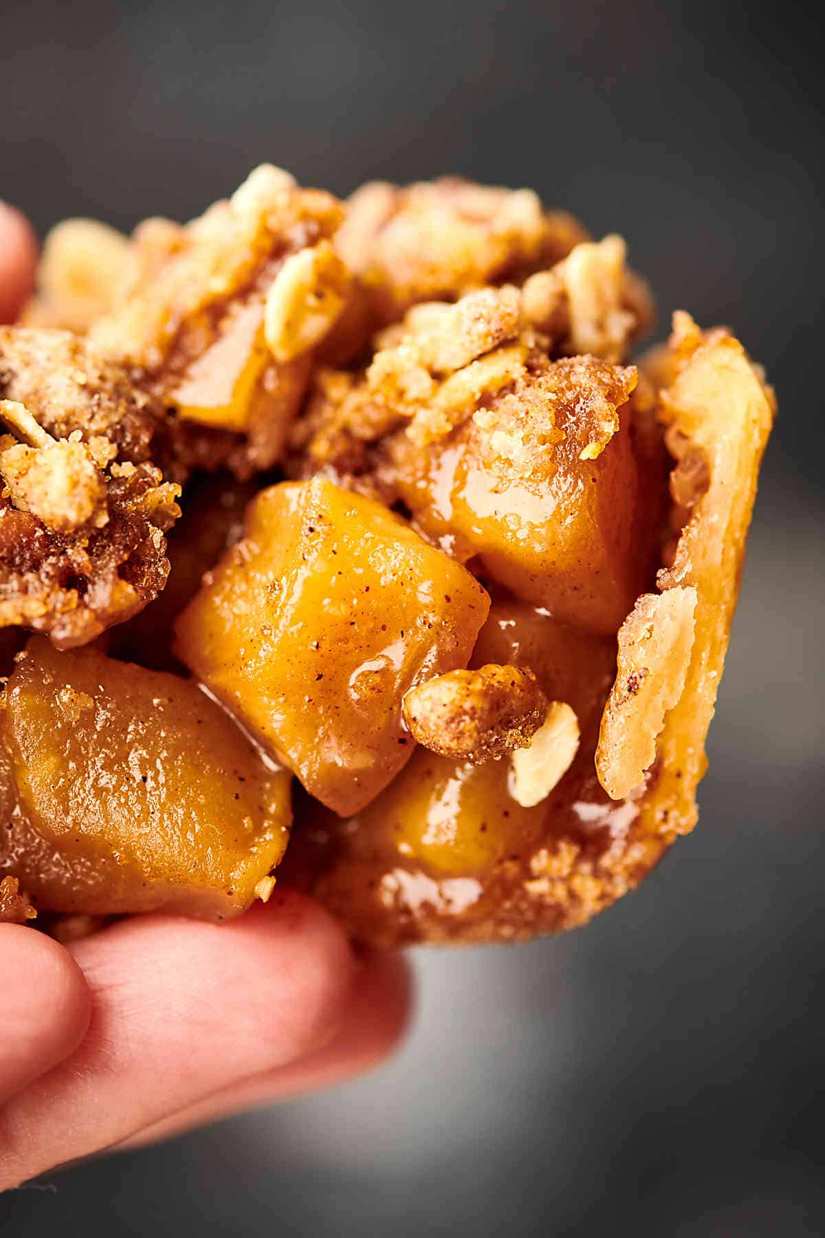 Mini Apple Pies a Classic Dessert Made IndividualSized!