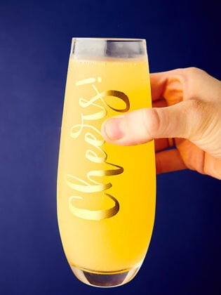 mimosa glass held
