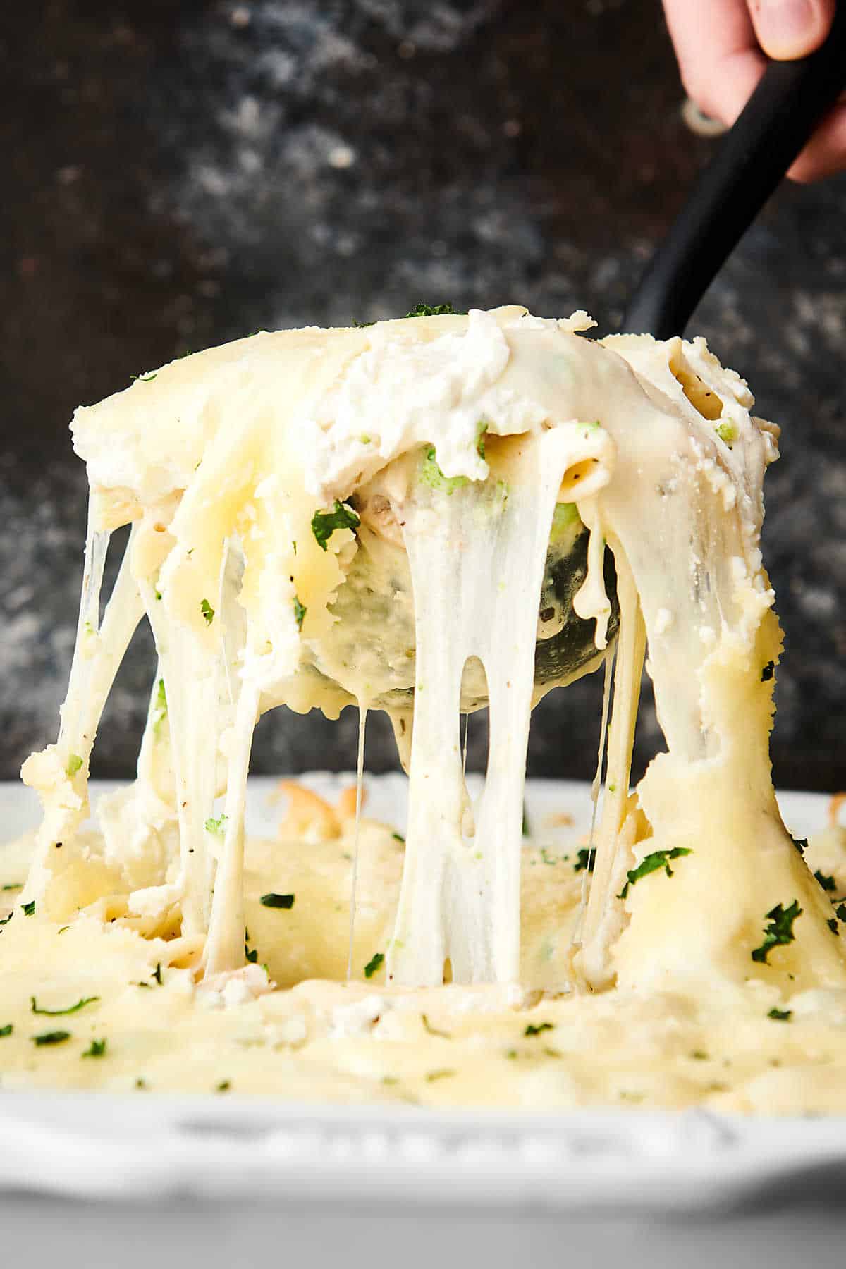 Chicken Alfredo Bake with Homemade Alfredo Sauce!