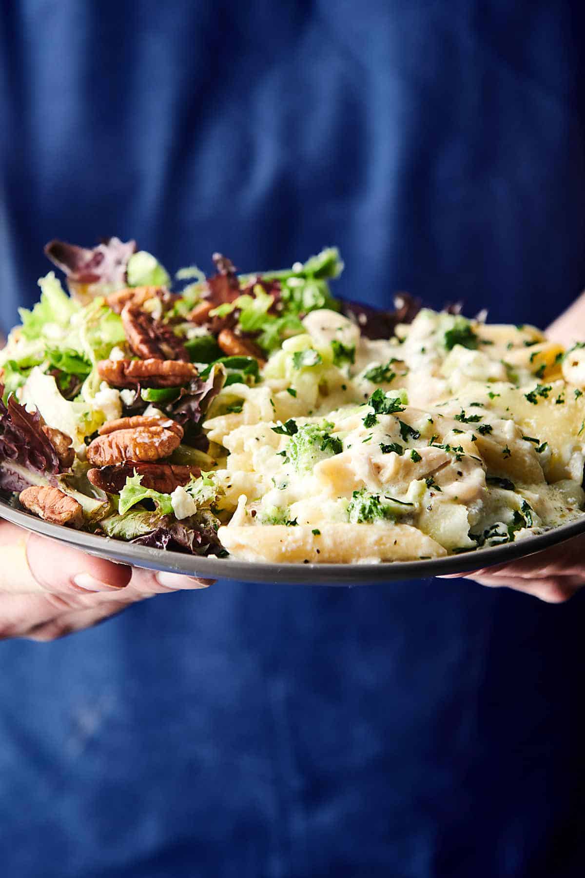 Chicken Alfredo Bake with Homemade Alfredo Sauce!