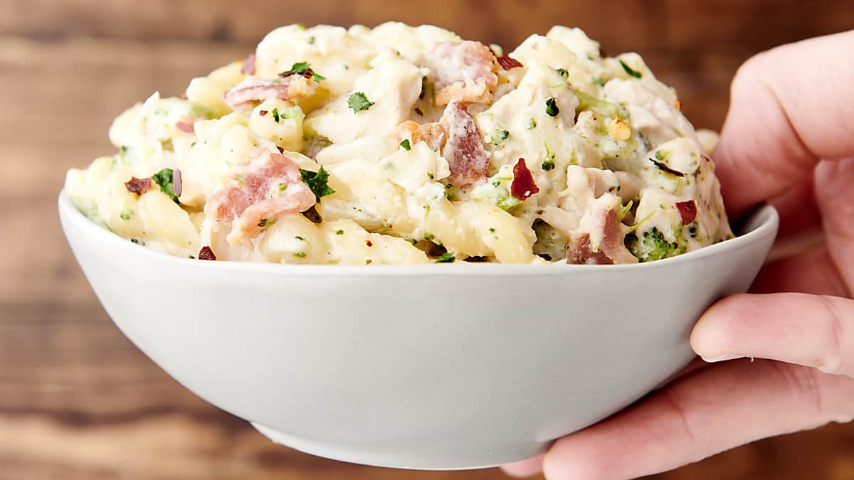 chicken bacon ranch pasta with alfredo sauce