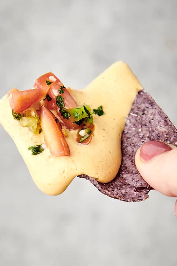cashew queso on a tortilla chip