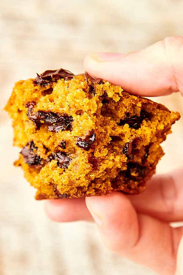 holding a chunk of pumpkin chocolate chip muffin