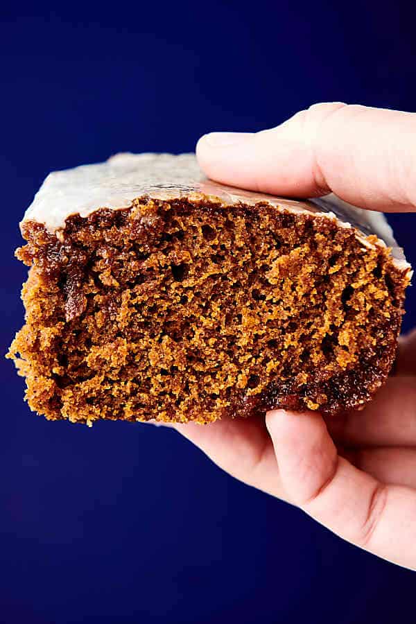 holding a piece of gingerbread cake