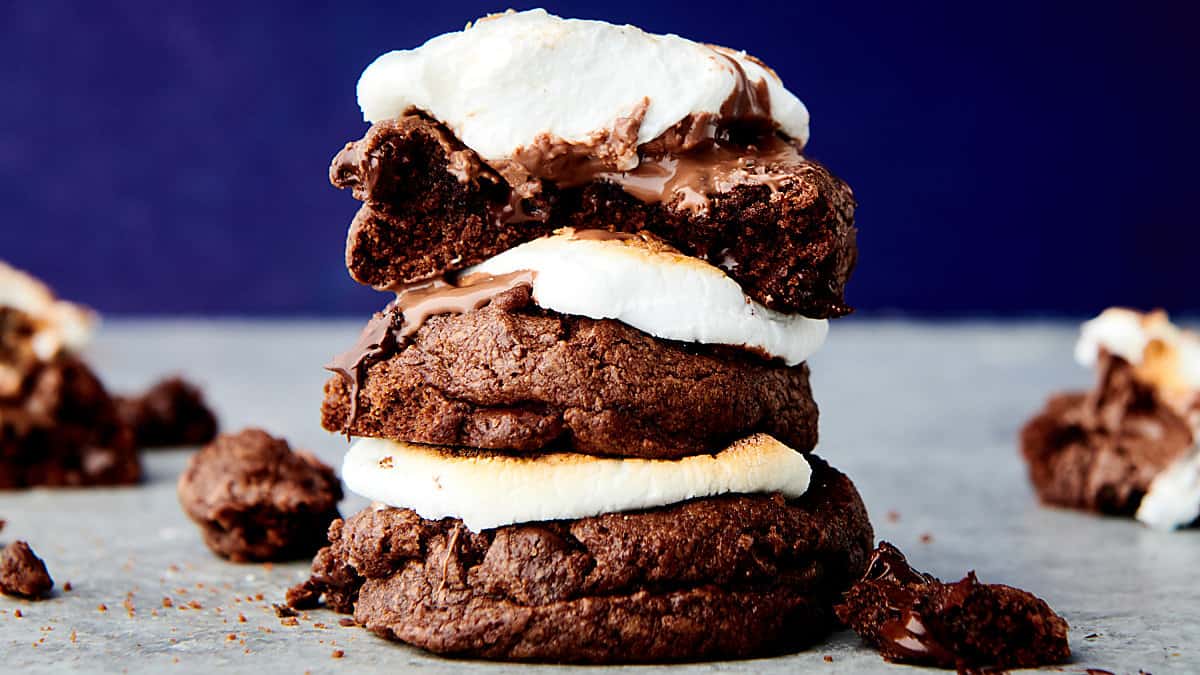 hot chocolate cookies with toasted marshmallows on top