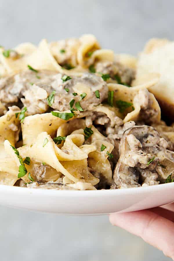 holding a plate of creamy stroganoff noodles with ground beef