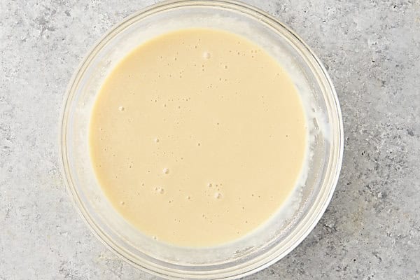sweetened condensed milk, vanilla, salt, and malted milk powder in a bowl