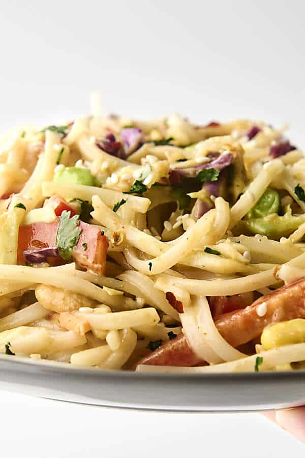 holding a plate of cold peanut noodle salad