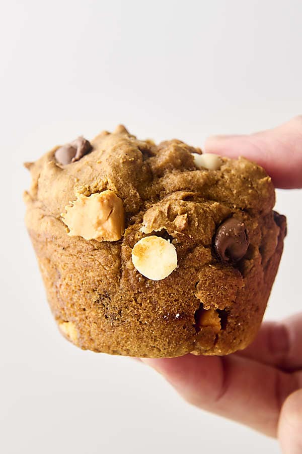 chocolate chip and cinnamon chip pumpkin cake mix muffin