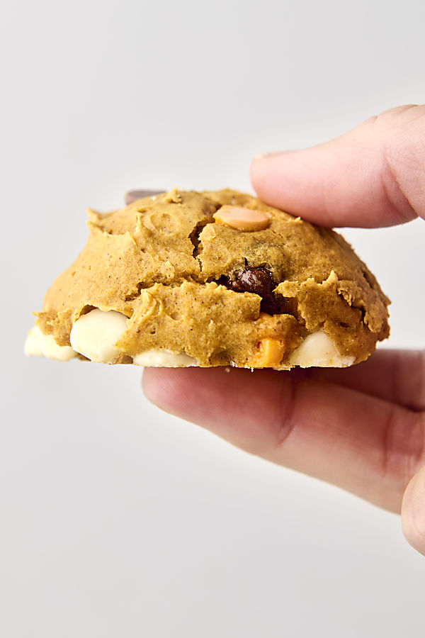 chocolate chip pumpkin cake cookie