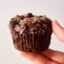 holding a double chocolate pumpkin spice muffin