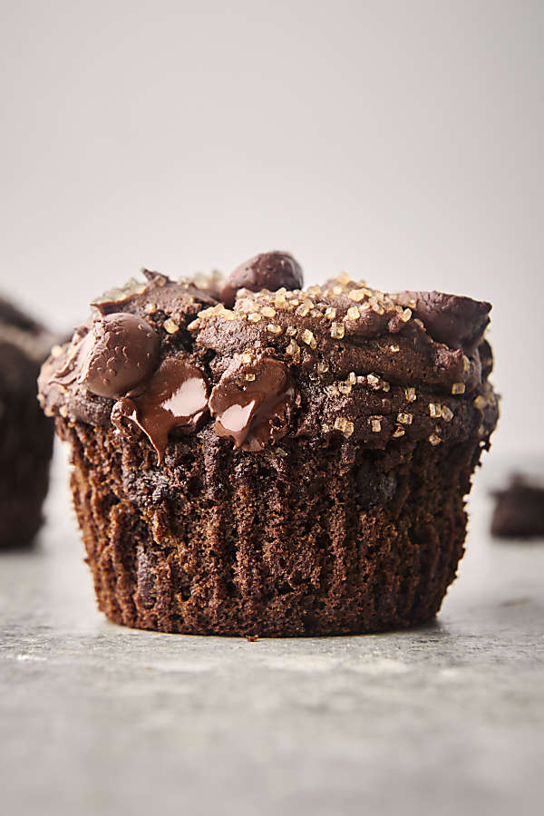 double chocolate pumpkin muffin with chocolate chips